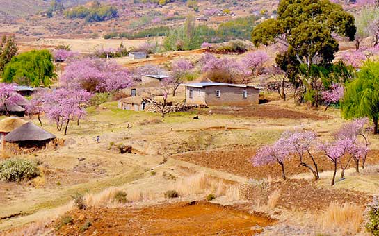 莱索托旅行保险